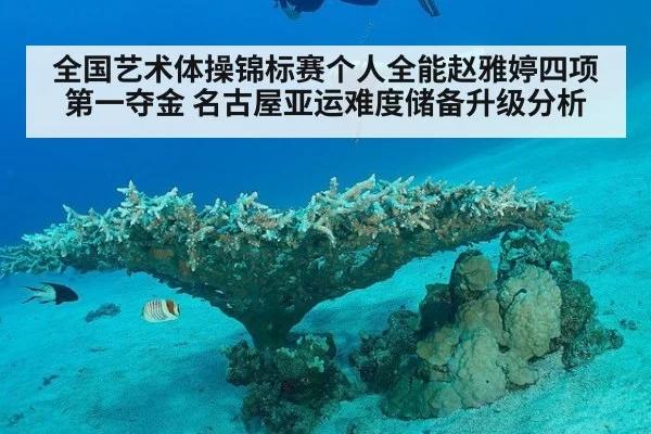 全国艺术体操锦标赛个人全能赵雅婷四项第一夺金 名古屋亚运难度储备升级分析