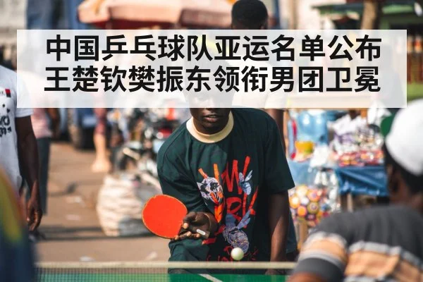 中国乒乓球队亚运名单公布 王楚钦樊振东领衔男团卫冕